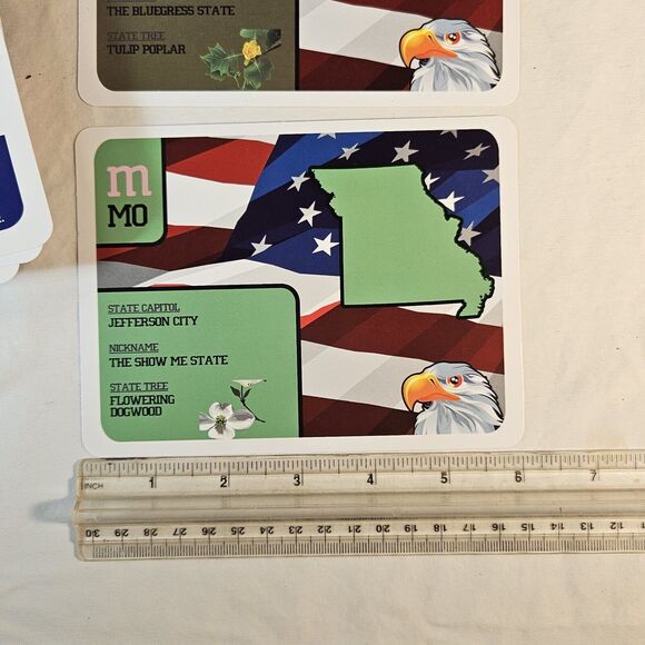 State By State Flashcard Game - Picture 5 of 15